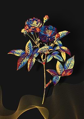 Prismatic Van Eeden Rose