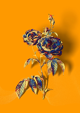 Prismatic Purple Roses