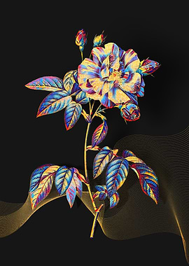 Prismatic Rosa Versicolor