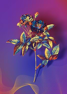 Prismatic Van Eeden Rose