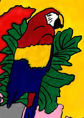 The Multicolored Parrot