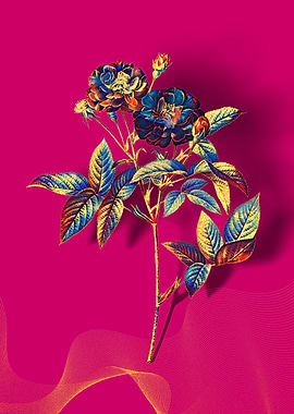 Prismatic Van Eeden Rose