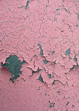 Peeling Pink Crackle
