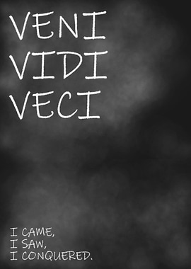 I Came I Saw I Conquered