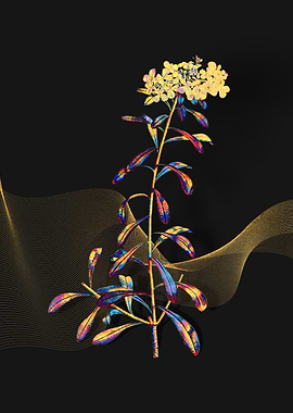 Prismatic White Flowers