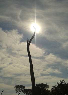 5 The prayer: Thank You