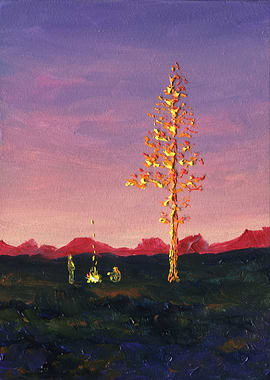 People Campfire And Pine