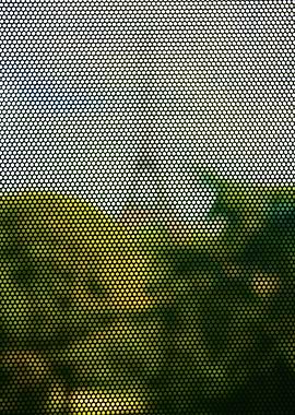 Eiffel Tower in Paris