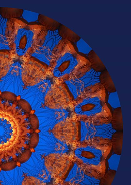 Jellyfish Mandala