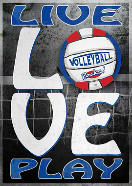 Love Play Blue Red Vball