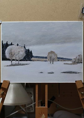 Simple Acrylic Snowscene