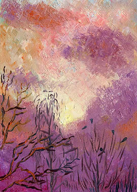 Rooks Trees And Sunset Sky