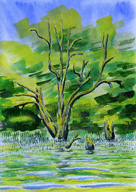 Old Tree In The Water 4