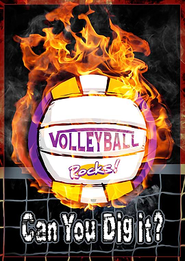 Dig It Purple Gold Vball