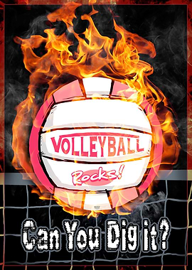 Dig It Pink Volleyball