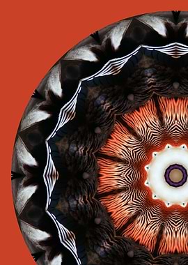 Mandarin Duck Mandala