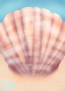 Seashell