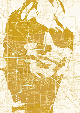 Bon Jovi Houston Gold Map