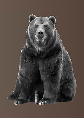 Grey Bear