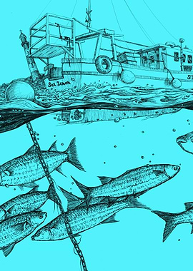 Calm before the storm