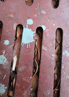 Maroon Grate with Blue