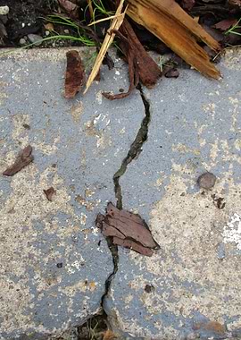 Blue and White Sidewalk