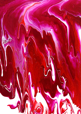 Scarlet on white two