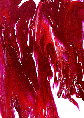 Scarlet on white one