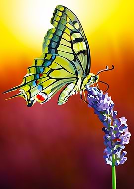 Butterfly sunset
