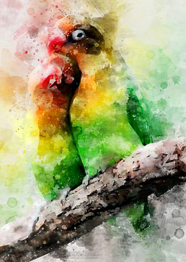Lovebird Watercolor Birds