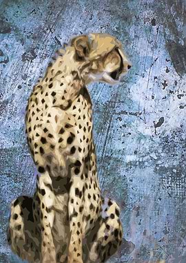 Cheetah