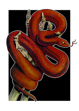 Red snake