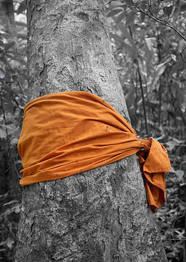 Monk Tree