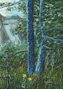 Mountain Forest Part 2