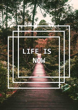 Life is Now