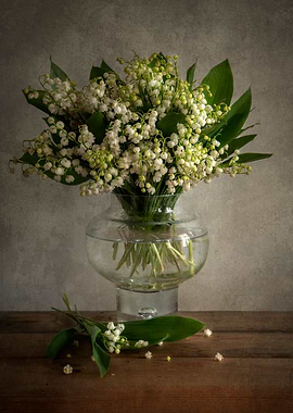Lily of the valley