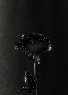 Black Rose