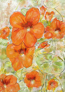 Nasturtiums