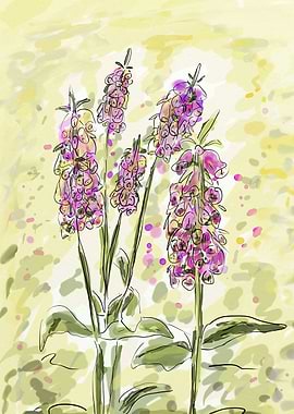 Pink Foxglove Flowers