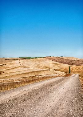 Val dOrcia and cypress