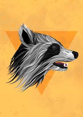 Racoon illustration