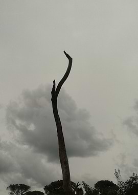 1 The prayer: Please