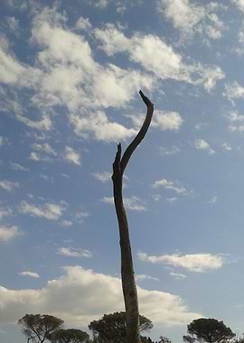 3 The prayer: I hope