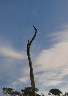 4 The prayer: I wish