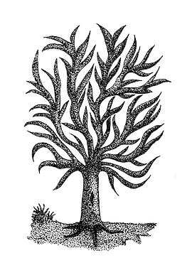 Pointillism Tree
