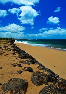 Another day at the beach