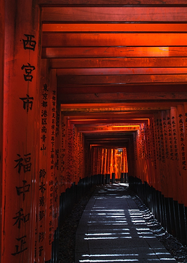 Torii in Japan