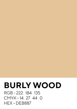 Burly Wood Color
