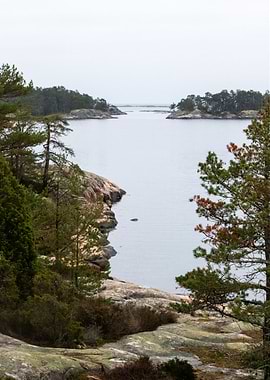 Swedish Archipelago Gaze