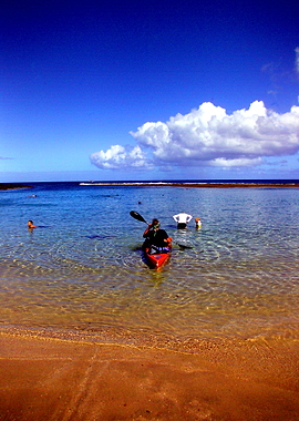 Kayaking North Shore